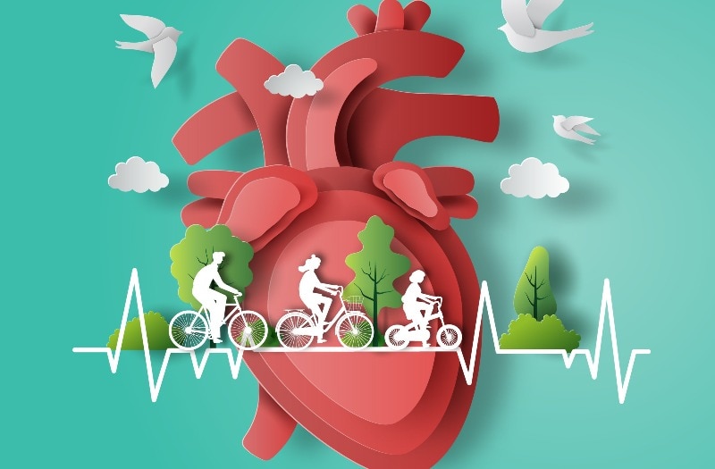 paper heart biking