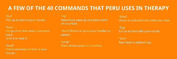 peru commands